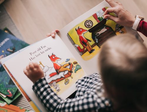 criança loira lendo livro sobre uma raposa
