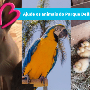 Campanha Ajude os animais do Parque Della Vittoria