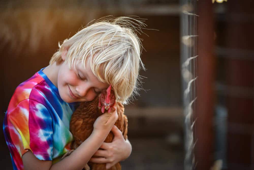 criança se divertindo com animais em fazendinha smart farm sp